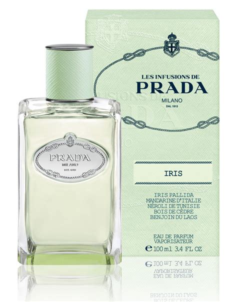 prada infusion d iris fragrantica|prada infusion d'iris reviews.